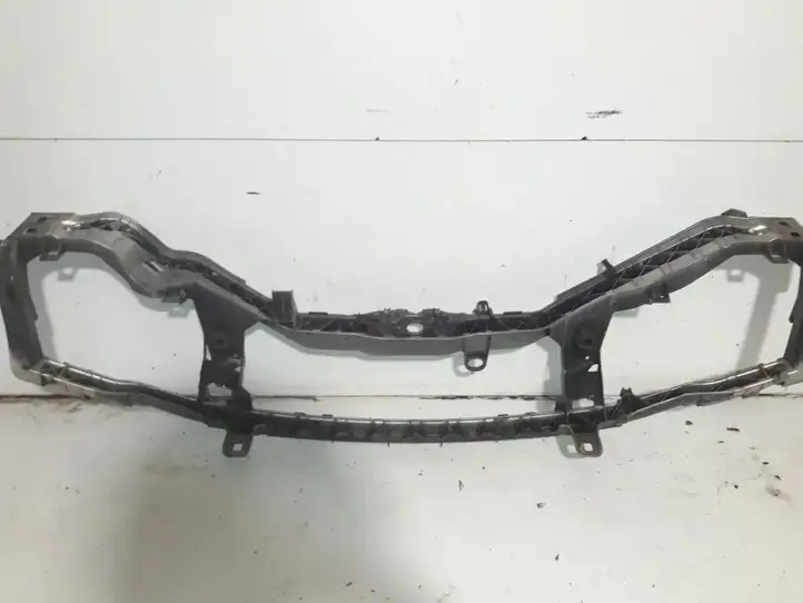 Ford Focus (2005 - 2008)  4M518B041 Панель радиаторов (телевизор)