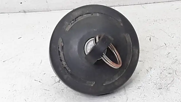 Citroen C5 (2001 - 2004) Крышка топливного бака — фото 3