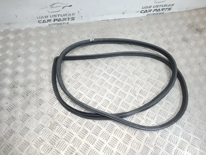 Subaru Forester SH (2008 - 2013) Уплотнитель передней двери (кузов) — фото 1