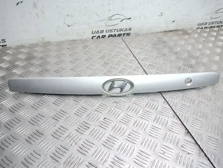 Hyundai Elantra (2000 - 2003) Подсветка номера — фото 1