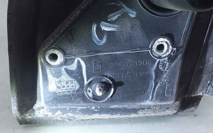 Nissan (2000 - 2006) 3003390 Боковое зеркало с электроприводом — фото 6
