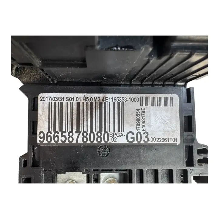 Citroen C4 (2011 - 2016) 9665878080 Блок предохранителей — фото 11