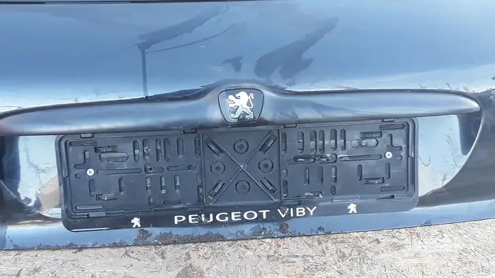 Peugeot 206 (1998 - 2012) E243R000981 Крышка багажника — фото 3