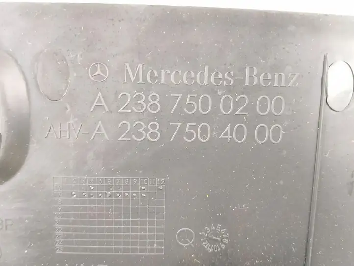 Mercedes-Benz E W238 (2017 - ) Отделка замка — фото 4