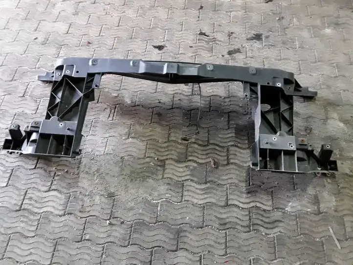Mercedes-Benz Sprinter W906 (2006 - 2018) 9068800003 Панель радиаторов двигателя — фото 1
