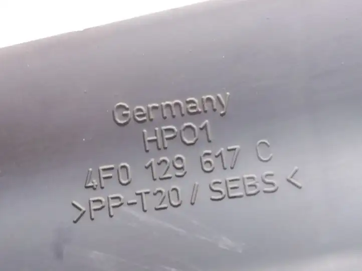 Audi A6 S6 C6 4F (2004 - 2008) 4F0129617C Дефлектор воздуха — фото 4