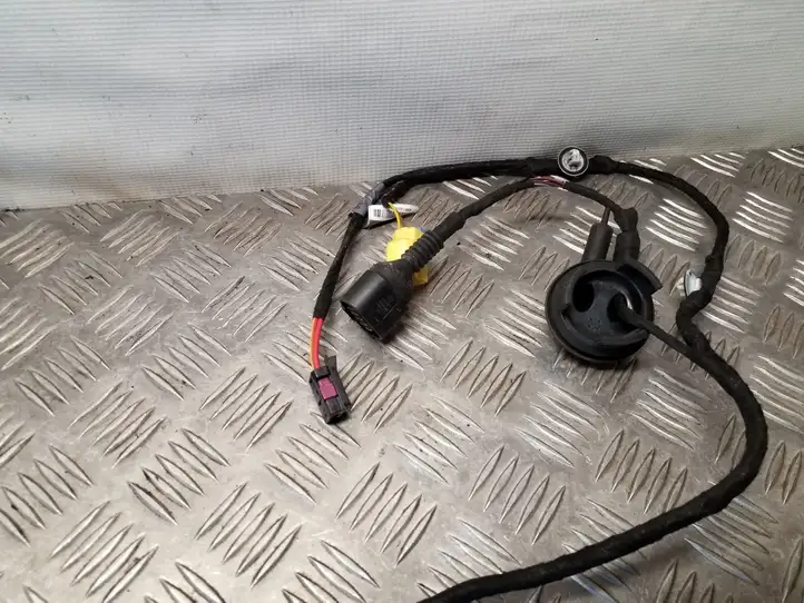 Audi Q5 SQ5 (2008 - 2012) 8R0971029AD Проводка передней двери — фото 4