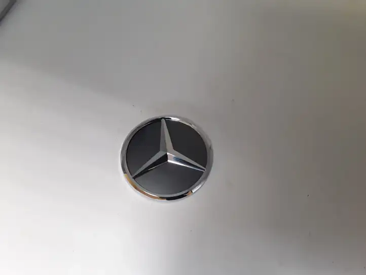 Mercedes-Benz GLC X253/C253 (2015 - ) A09981085007992 Эмблема производителя — фото 3