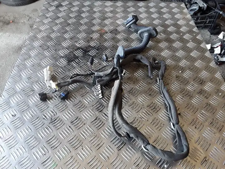 Renault Scenic III -  Grand scenic III (2009 - 2016)  241259931R Проводка передних дверей