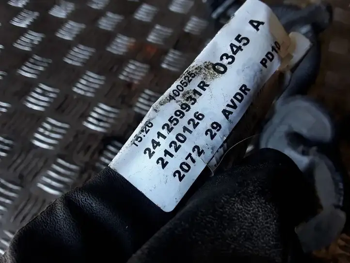 Renault Scenic III -  Grand scenic III (2009 - 2016)  241259931R Проводка передних дверей