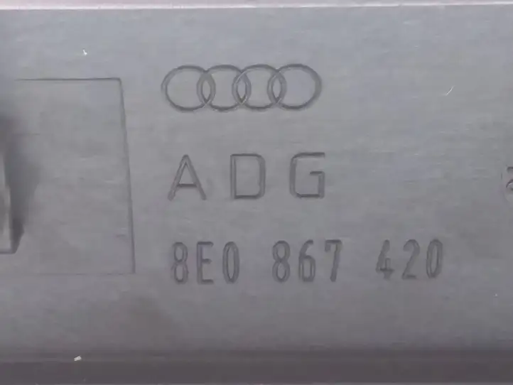 Audi A4 S4 B7 8E 8H (2004 - 2009) 8E0867420 Прочая отделка задней двери — фото 3