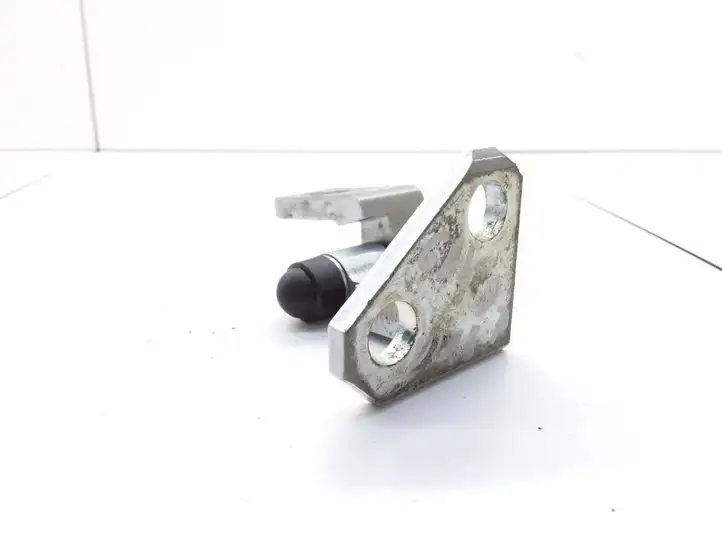 Volkswagen PASSAT B6 (2005 - 2010)  3C4833402D Верхняя петля задней двери