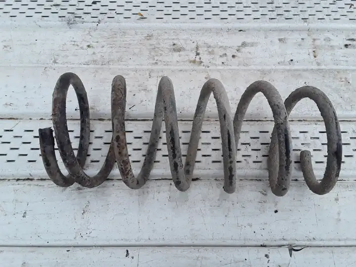 Land Rover Freelander (1997 - 2003) Пружина задней подвески — фото 2