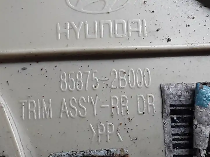 Hyundai Santa Fe (2005 - 2009) 858752B000 Внутренняя отделка заднего порога — фото 3