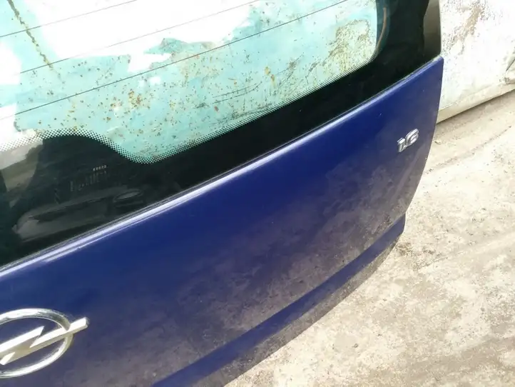 Opel Meriva A (2002 - 2006) 13122584 Крышка багажника — фото 4