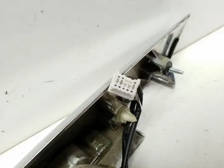 Chevrolet Captiva (2006 - 2011) 20921270 Подсветка номера — фото 4
