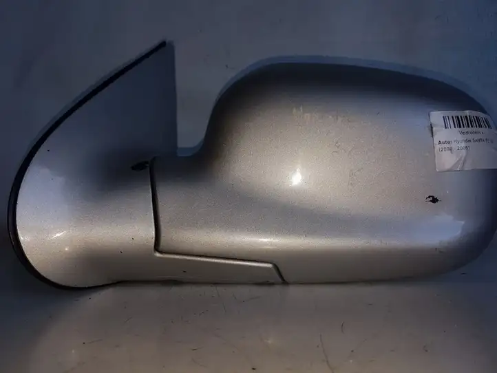 Hyundai Santa Fe (2000 - 2005) 012147 Боковое зеркало с электроприводом — фото 1