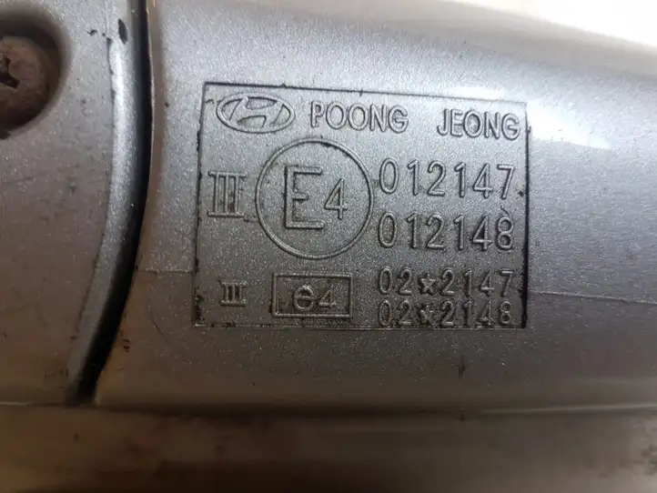 Hyundai Santa Fe (2000 - 2005) 012147 Боковое зеркало с электроприводом — фото 3