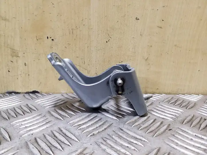 Peugeot 508 (2010 - 2014) Нижняя петля задней двери — фото 1