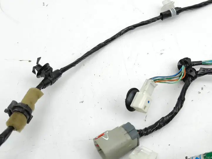 Nissan 370Z (2008 - 2014) 241251EL1A Проводка передней двери — фото 8