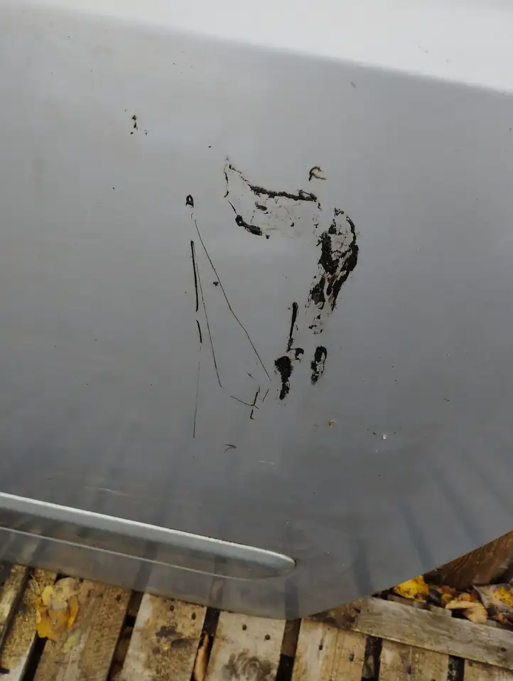 Kia Carnival (2006 - 2014) Задняя дверь — фото 2