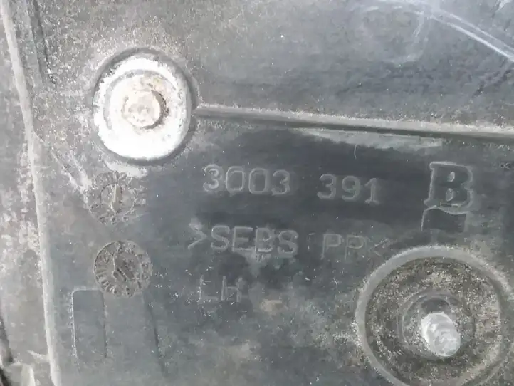 Nissan (2000 - 2006) 3003391 Боковое зеркало с электроприводом — фото 4