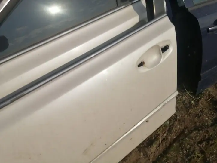 Subaru Outback (2009 - 2014) Дверь — фото 2