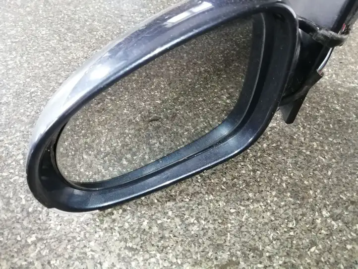 Volkswagen Golf Plus (2004 - 2008) 010836 Боковое зеркало с электроприводом — фото 4