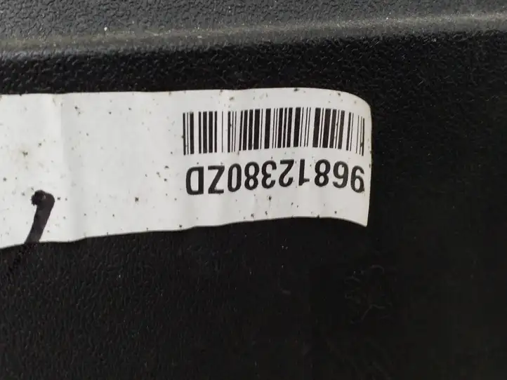 Peugeot Partner (2015 - 2018) 9681238077 Обшивка раздвижной двери — фото 6