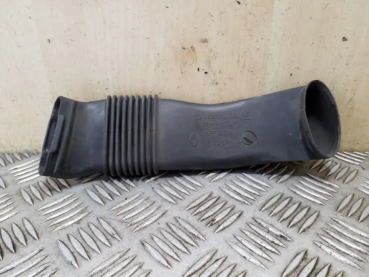Renault Scenic III - Grand scenic III (2009 - 2016) 244930005R Дефлектор воздуха — фото 1