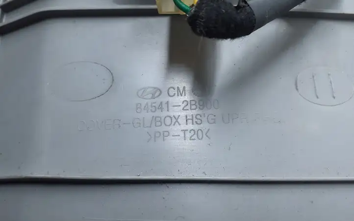 Hyundai Santa Fe (2005 - 2009) 845412B900 Вещевой ящик — фото 8