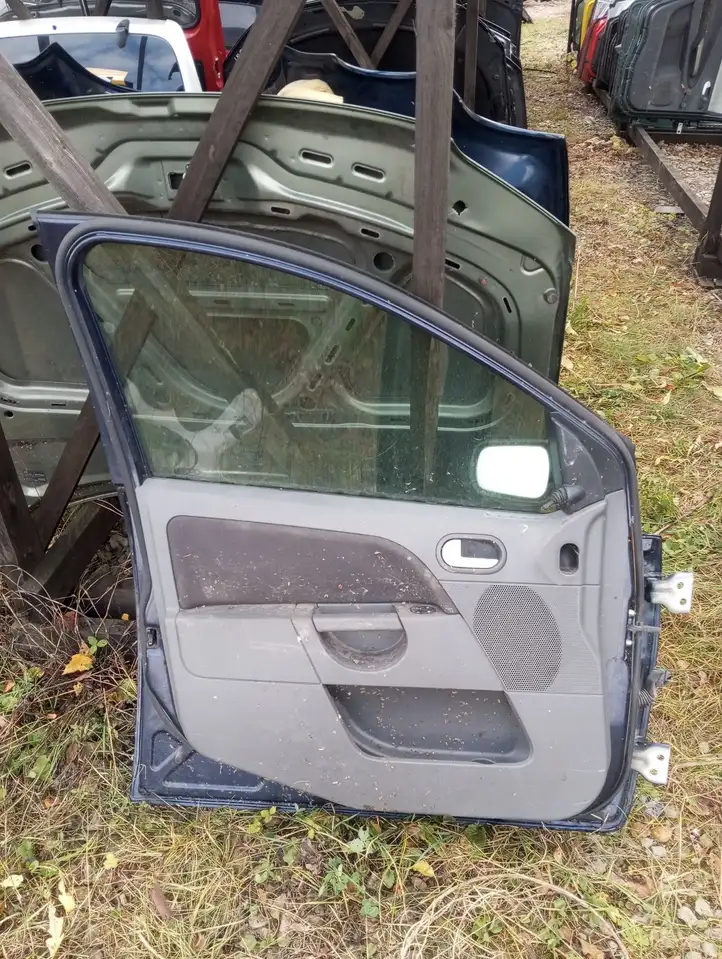 Ford Fiesta (2000 - 2005) Дверь — фото 2