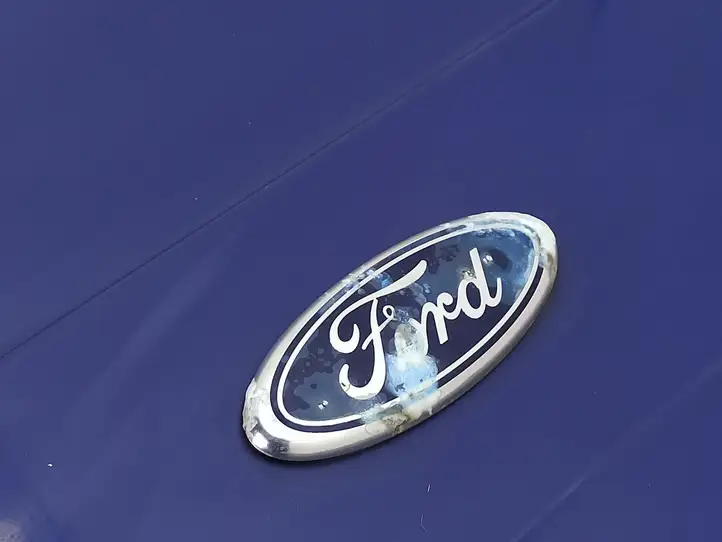 Ford Transit (2000 - 2006) Багажная дверь — фото 6