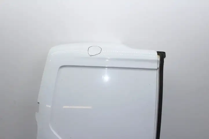 Ford Transit - Tourneo Connect (2009 - 2017) Задняя дверь — фото 3