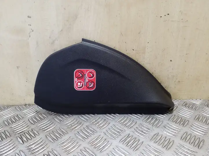 Citroen C4 I Picasso (2006 - 2013) 9654935877G Боковая отделка панели приборов — фото 1