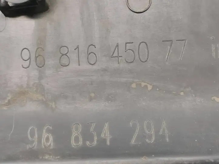 Citroen Berlingo (2012 - 2015) 9681645077 Молдинги раздвижных дверей — фото 6