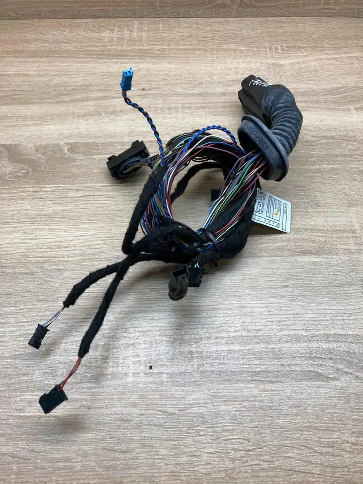 BMW 3 F30 F35 F31 (2012 - 2018) 9313647 Проводка передней двери — фото 1