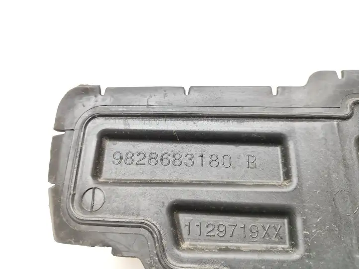 Peugeot 3008 II (2016 - 2023) 9828683180 Дефлектор воздуха — фото 3