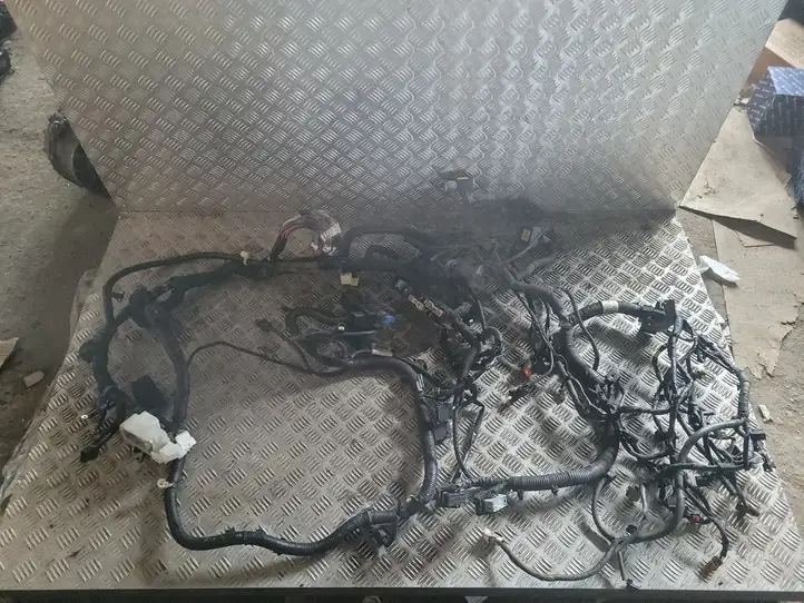 Nissan Juke I F15 (2010 - 2018) 240111KB0B Проводка двигателя — фото 1