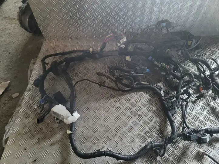 Nissan Juke I F15 (2010 - 2018) 240111KB0B Проводка двигателя — фото 2