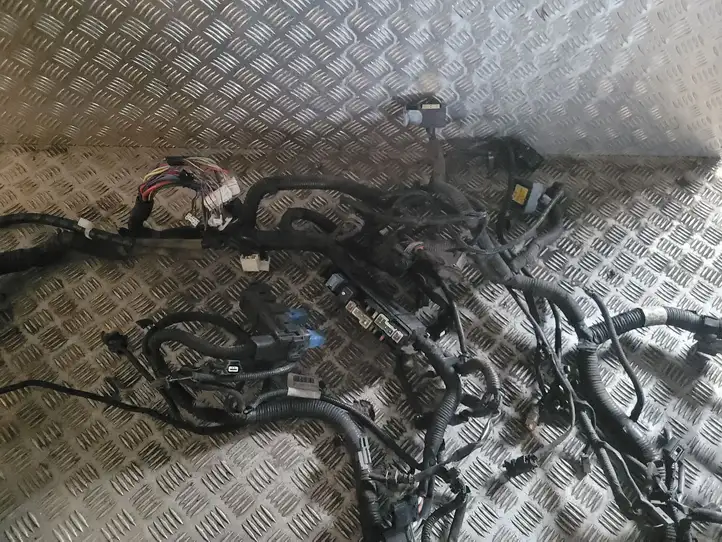 Nissan Juke I F15 (2010 - 2018) 240111KB0B Проводка двигателя — фото 3
