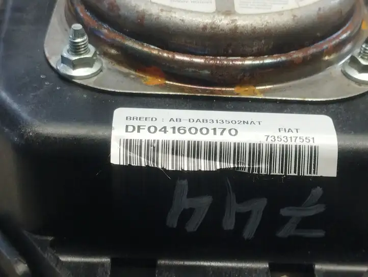 Fiat Stilo (2001 - 2010) DF041600170 Подушка безопасности руля — фото 2