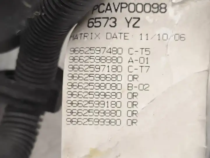 Citroen C4 I Picasso (2006 - 2013) 9662597480 Прочая электропроводка — фото 10