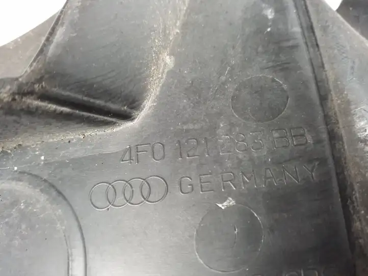 Audi A6 S6 C6 4F (2008 - 2011) 4F0121283BB Дефлектор воздуха — фото 2