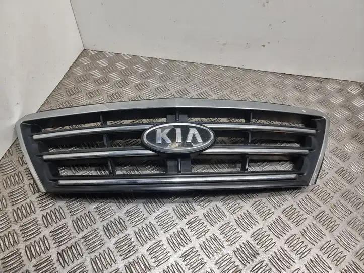 Kia Sorento (2006 - 2009) Верхняя решетка радиатора — фото 1