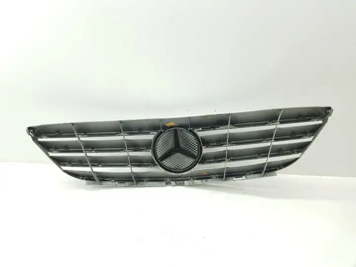 Mercedes-Benz B-class W245 (2005 - 2008) 235100001 Верхняя решетка радиатора — фото 2