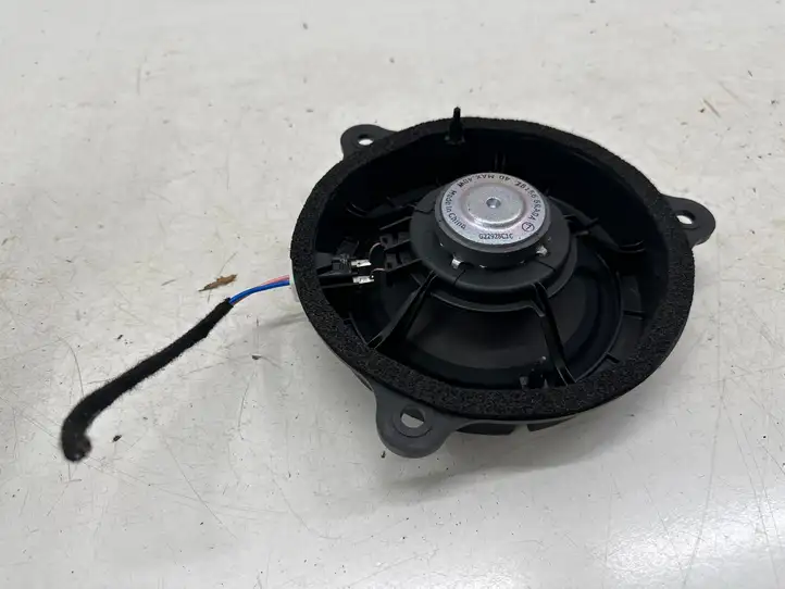 Nissan Qashqai J12 (2021 - ) 281566RA0A Динамики задних дверей — фото 2
