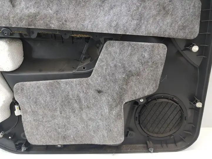 Chevrolet Captiva (2006 - 2011)  96441174 Обшивка передней двери