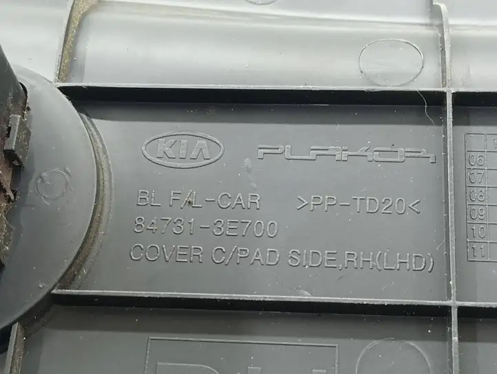 Kia Sorento (2006 - 2009) 847313E700 Боковая отделка панели приборов — фото 7