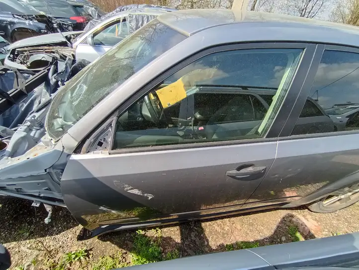 Subaru Forester SH (2008 - 2013) Дверь — фото 1